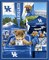 Licensed NCAA Kentucky Tailgate Panel Digital Print KY-1157 Cotton Fabric by the Panel
